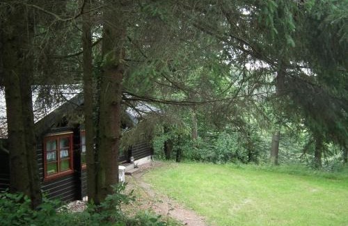 Bad Arolsen Maison | Wunderschönes Ferienhaus Am Waldrand