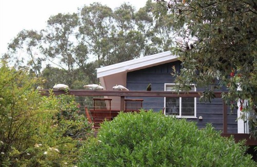 Wye River Maison | The Wye River Getaway