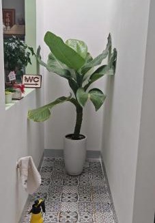 Pleiku Appartement | Xù Homestay