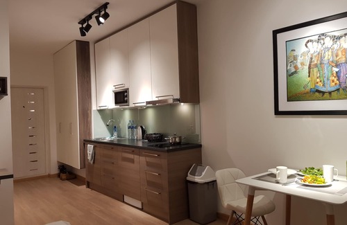 Bayanzurkh Appartement | X-Apartment: tout nouveau studio de luxe à UB