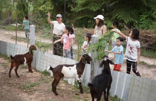 Buriram Station Balnéaire | Xaiyong Resort - ไทรโยงรีสอร์ท