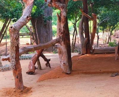 Palatupana Cabine | Yala Jungle Haven