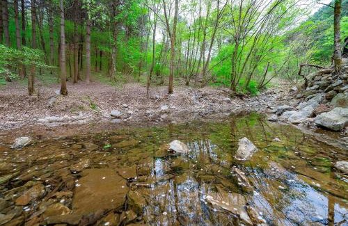 Danwol Maison | Yangpyeong Sweet Tree Pension