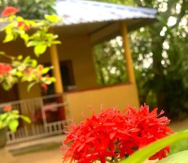 Maho Maison | Yapahuwa Relax Stay