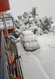 Shimla Maison | YATIKA HOMESTAY
