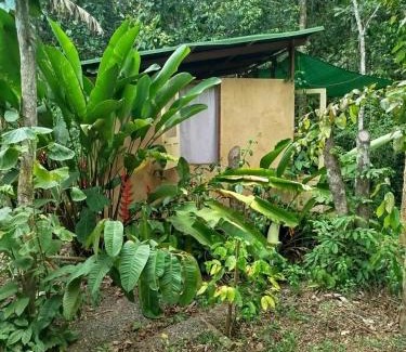 Serra Grande Autre | YbYmara Eco Glamping