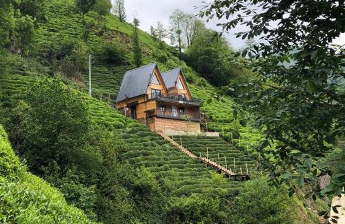 Rize Chalet De Ski | Yeşil ravza bungolov