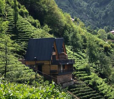 Rize Chalet De Ski | Yeşil ravza bungolov