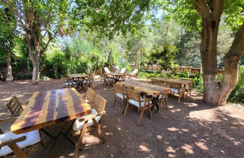 Cirali Hôtel | Yedi Butik Hotel