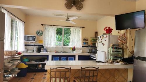 Ballena Maison | YETHAN HOUSE