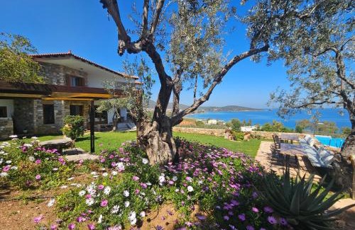 Melissopetra Appartement | Yialasi Hotel