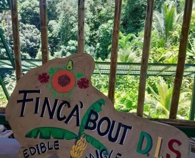 Chiguata Chalet De Ski | Ylang-palm Bungalow