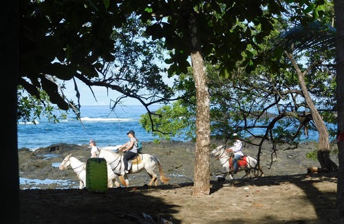 Playa Negra Maison | You Imagine Costa Rica Our Location Being on the Beach is What You Imagine