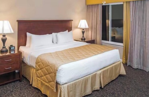 Berkeley Hôtel | Your Relaxing Getaway Awaits! Fully-Equipped Kitchen Parking, 2 Pools!