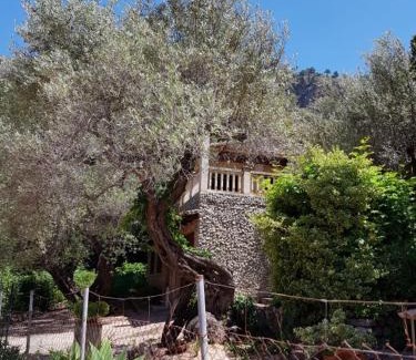 Escorca Maison | YourHouse Cas Sito