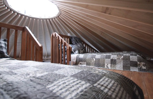Mandeville Cabine | Yourte Luxueuse Jusqu'à 8 Personnes