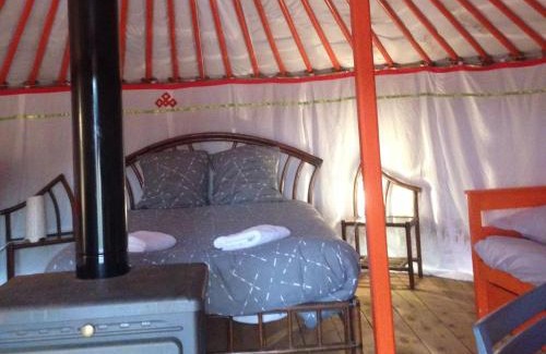 Saint-Leger-sur-Dheune Autre | Yourte Mongole