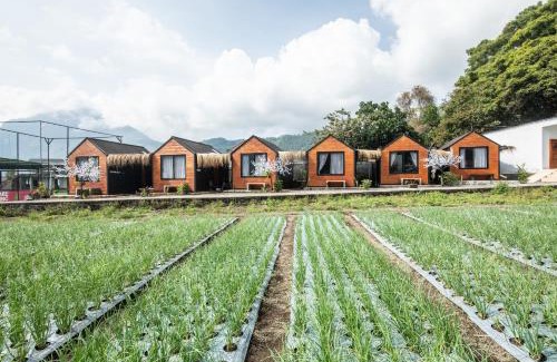 Kedisan Hôtel | Yucabin Kintamani