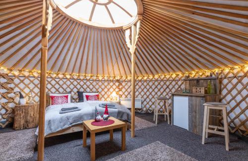Sinetta Autre | Yurt District