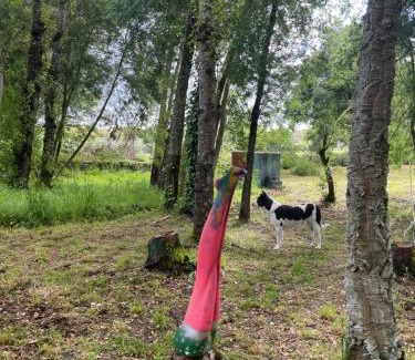 Montemor-o-Novo Autre | Yurt na magia do bosque