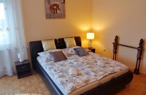 Hajduszoboszlo Appartement | Zöld Béka Hőforrás Apartman