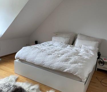 Wipkingen Appartement | Zürich 3 Zimmer Wohnung mit Dachterrasse