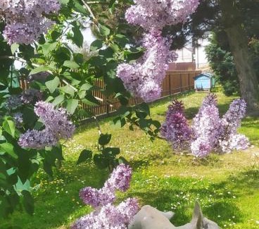 gmina Frampol Maison | Zaścianek Roztocze