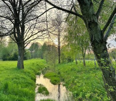 gmina Frampol Maison | Zaścianek Roztocze
