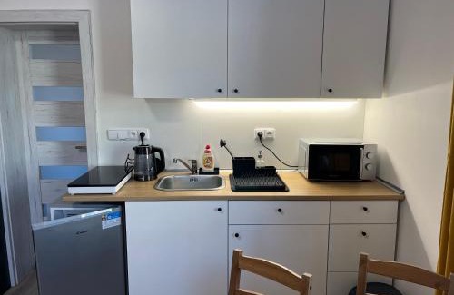 Rokytnice nad Jizerou Appartement | Za radnicí by Správa ubytka