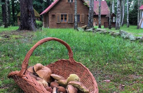 Osiecznica Maison | Zakatek Kliczkow