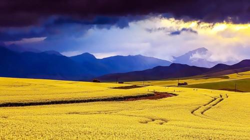 Caledon Maison | Zamar Guest House
