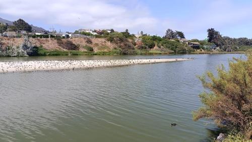 La Laguna Maison | Zapallar Laguna Y Mar a una cuadra playa maitencillo