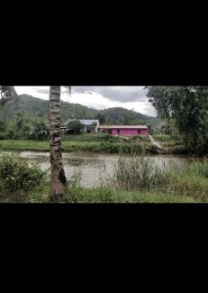 Raub Maison | zarifa homestay batu malim