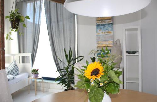 Bad Sulze Appartement | Zaunkönig