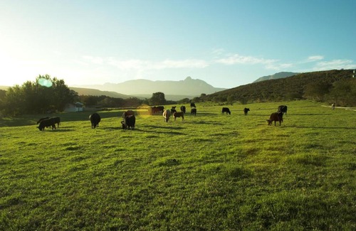 Riversdale Maison | Zeekoegat Historical Homestead