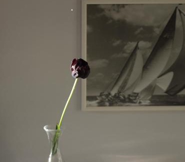 Anger-Crottendorf Appartement | ZeitRaum10