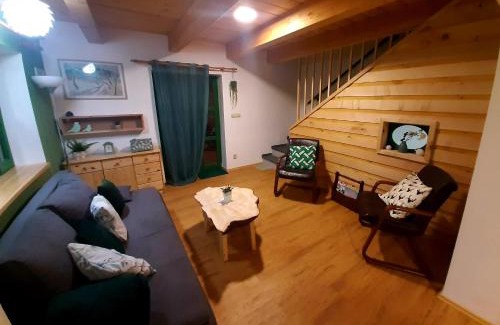 Stachy Appartement | Zelený Jelen - horský apartmán