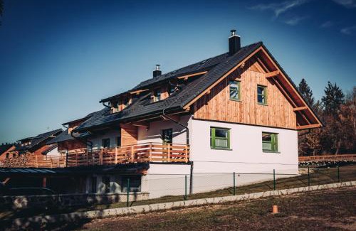 Stachy Appartement | Zelený Jelen - horský apartmán