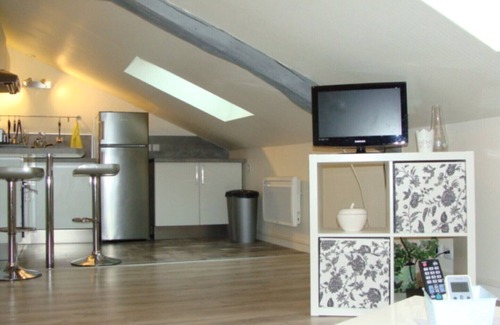 Saint-Cyr-sur-Loire Appartement | Appartement Zen sous comble, F2