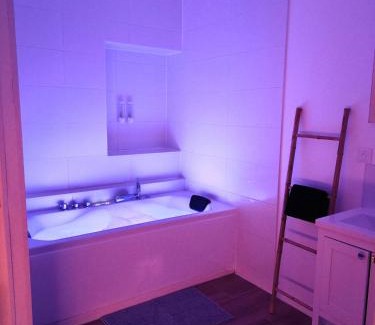 Chatel-Guyon Appartement | Zen lodge jacuzzi privé