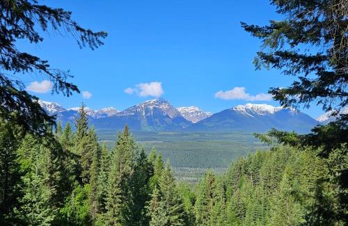 Golden Autre | Zest Campers Ltd