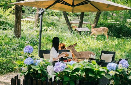 Chaoyang Hôtel | Zhi Resort Beijing&Peafowl Garden&Breakfast with Deer&Private Hot Spring&50 Meter Swimming Pool&Free Coffee&Close to Olympic Forest Park