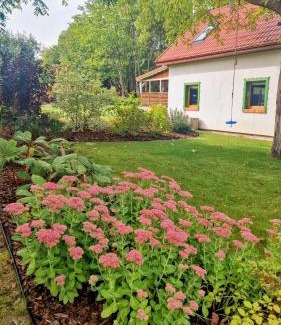 Narty Maison | Zielony Domek w Nartach - Mazury