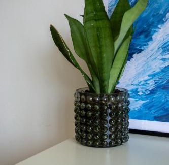 Vogelzang Appartement | ZILTE STILTE