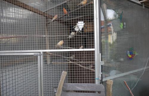 Lage Appartement | Zimmervermietung am Teutoburger Wald