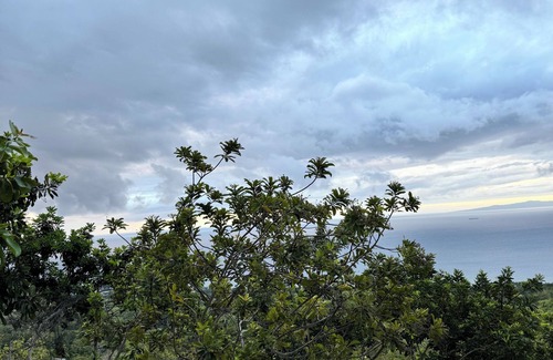 Oslob Location De VR | Zion View Point and Campsite