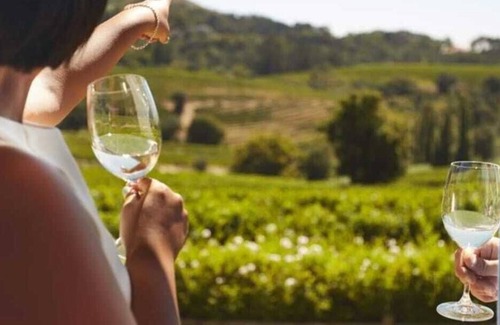 Tomar Maison | Zona muito sossegado para se relaxar,onde poderá desfrutar- se da natureza .