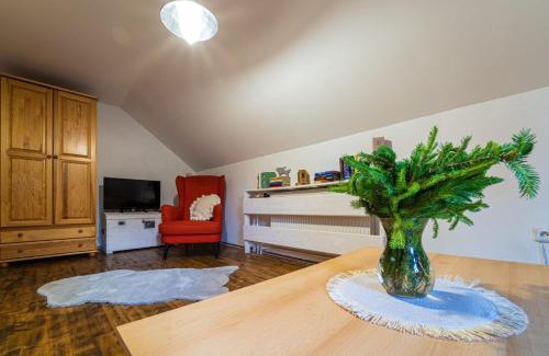 Cierny Balog Appartement | Zruby Vila Mária Vysoké Tatry