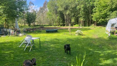 Morga Cabine | Zubizar