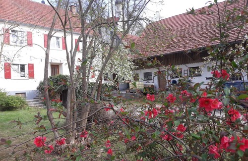 Ichenhausen Appartement | Zum Scheunenhof - Bauernhaus